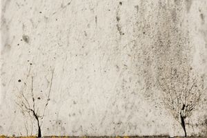 Jeanne Hildenbrand - Stonescape #2