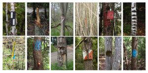 Demarcations variation grid.