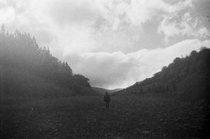 The valley