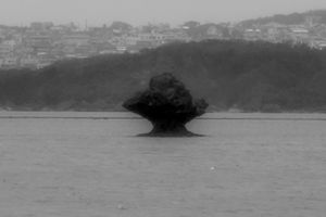 Drizzling Bay-07
