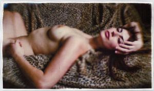 © Wendi Schneider "Cheetah"
