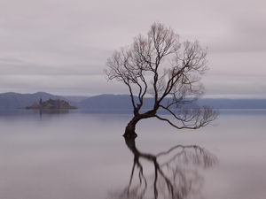 Evening Reflections
