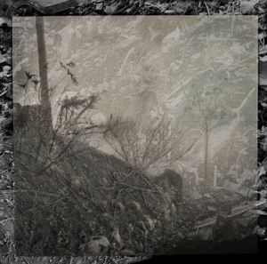 Amalgamated Fragmentation / Plastisphere–Earth 8