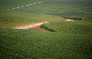 GreenPeace 2