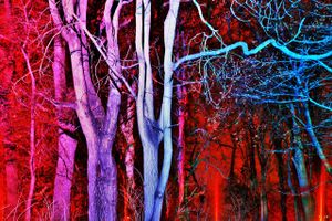 NEON/NATURE