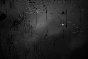 Untitled 2