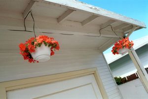 Hanging Pots