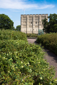 Norwich Castle