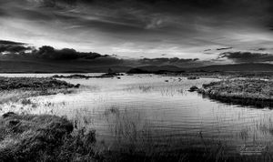 Lochan na h-Achiallse, Scotland | 26