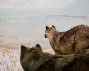 Anatuvuk Pass, Alaska