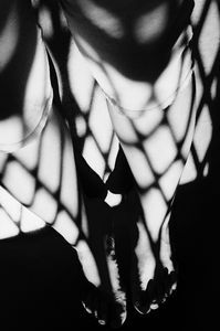 Bound by light and shadow