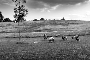 On Hampstead Heath | 03
