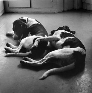 Sleeping Series, silver print, © Joanne Leonard