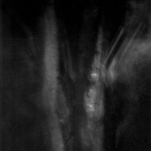 untitled 18