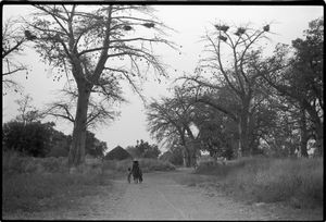 Walking Home, Rural Mali © Betty Press