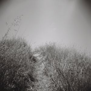 exposed with a Holga 120N