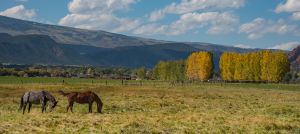 What I see when I leave the house