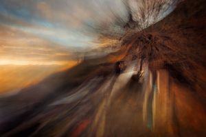 Through the Eyes of Hans Christian Andersen #03 / We are expected, still...