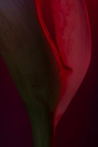 Untitled#5