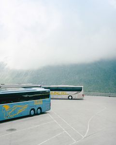 Bus