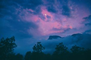 Pink moon