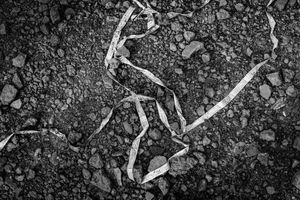 Rana Plaza 7. Measuring tape.