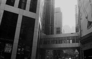 "Hong Kong"