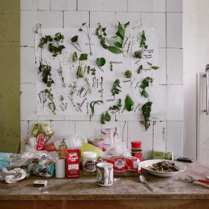 Work from series "Ilgas"