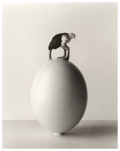 Untitled, 2011 © Chema Madoz, Esther Woerdehoff