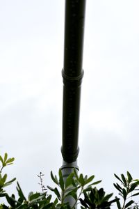 Above