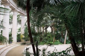 The Winter Garden, Serres Royales de Laeken, Brussels, Belgium  2012 © Mireille Schellhorn
