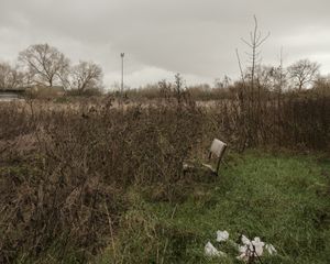 71.	Buckingham Road