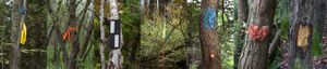 Demarcation 7 image variation