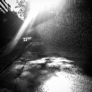 Morning light #5