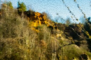 biotope