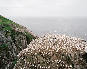 Bird Rock, C-print, 24"x30"
