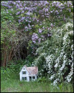 Abandoned house 2017