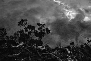 After the rain #11