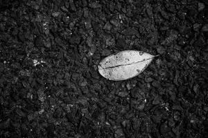 Harmonious Collision
