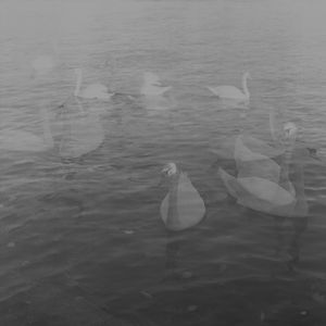 Sentimental Journey III