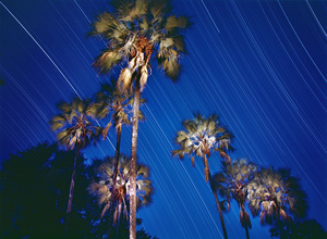 African Nights