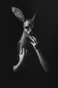 Down the Rabbit Hole