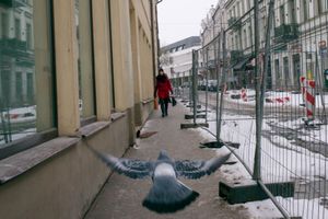 Vilnius, 2016