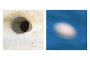 cosmos II_20