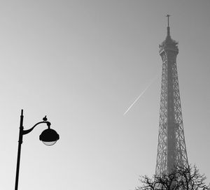 The Eiffel Tower and the Bird_2