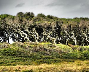 Fort Fisher_Wilmington_4
