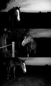 Equinox.