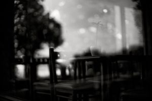 A small potted plant on the cafe table.