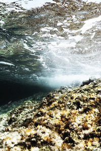 Splash_4
