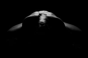 Dark Bodies - Bat With Closed Wings